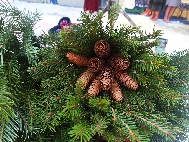 ���������� ���� ����������� ������� ���������� ������� �������� �� ���������