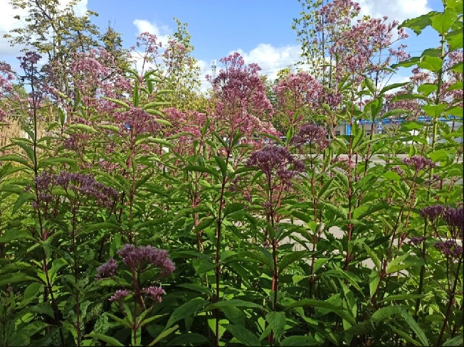 ������News ���������� ��� ����� ��������� ���������� ������� �� ���� 2026 ����