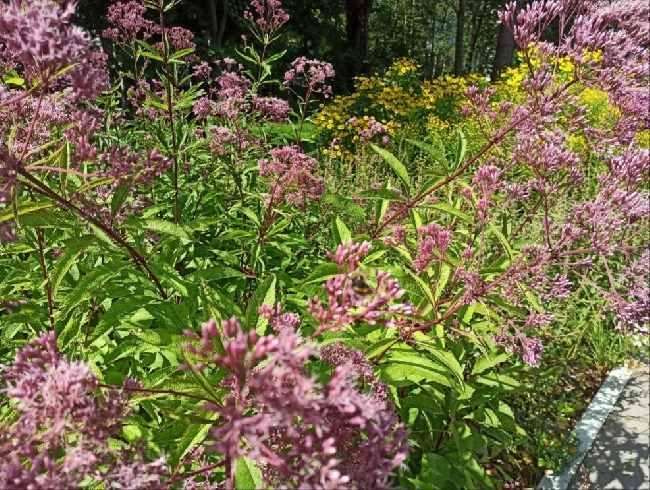 ����� ��������, ��� ��� ������� ���������� ������� � ��� 2026 ����