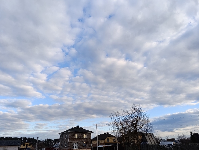 ���� � ������� �������� 7 ������