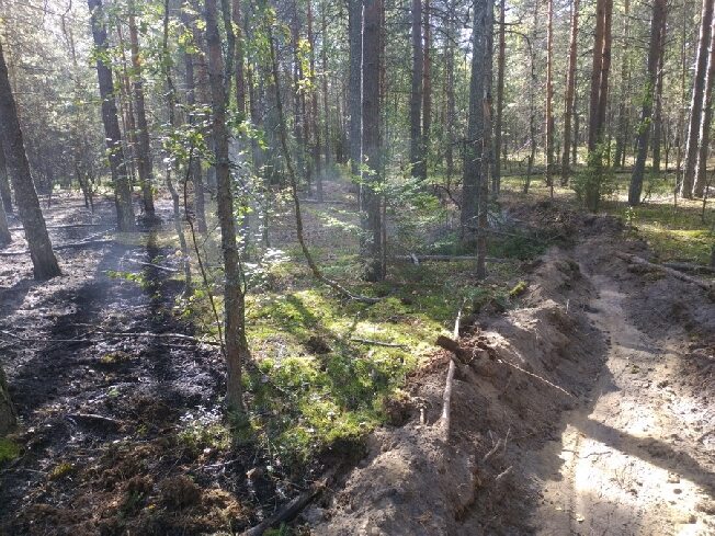 Очередной лесной пожар произошел в Ивановской области