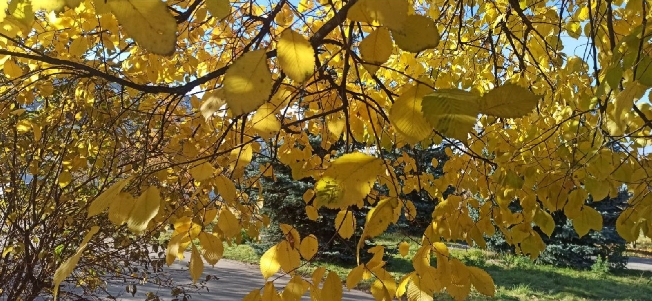 ��������� �������� ������� �������� ������� 2025 ���� � ���������� �������