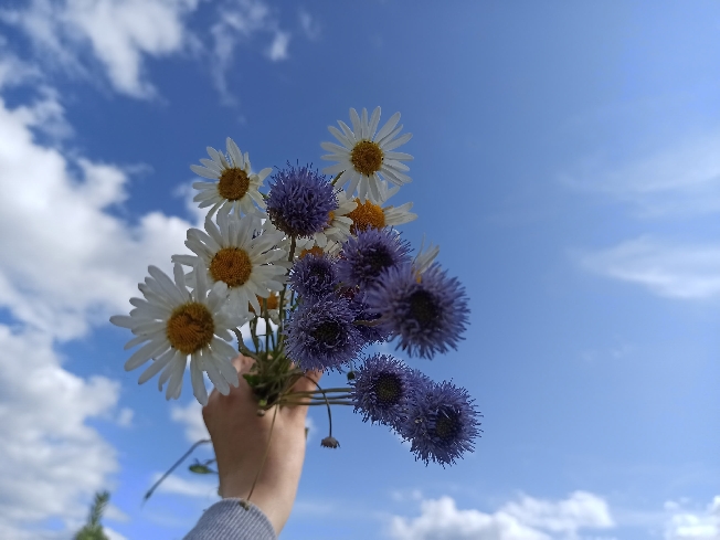 Ивановская область готовится к рекордному теплу