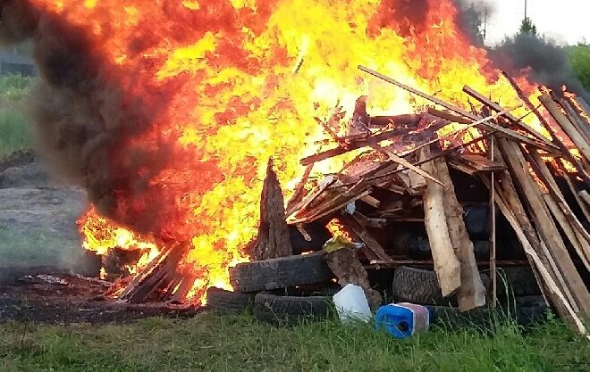В саратовских селах сняли карантин по АЧС В саратовских селах сняли карантин по АЧС
