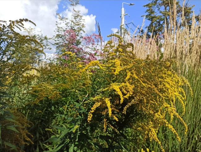 ������������ �������� ������� �������� ����� 2025 ����