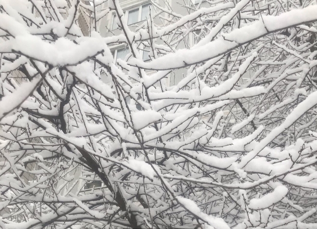 ������News �������� ���-5 ������� ��� ������� 2025 ����