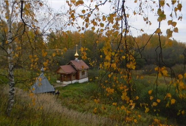 Дождь, тепло, ветер западный: погода в Ивановской области 4 октября