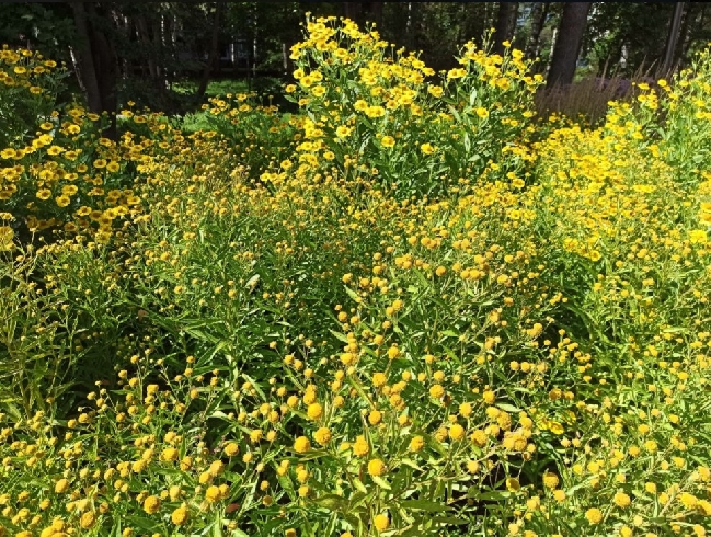 ��������� ���-5 ������� �������� ��� 2025 ���� � ���������� �������