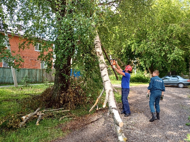 Почти 500 деревьев сломал ураган в Иванове