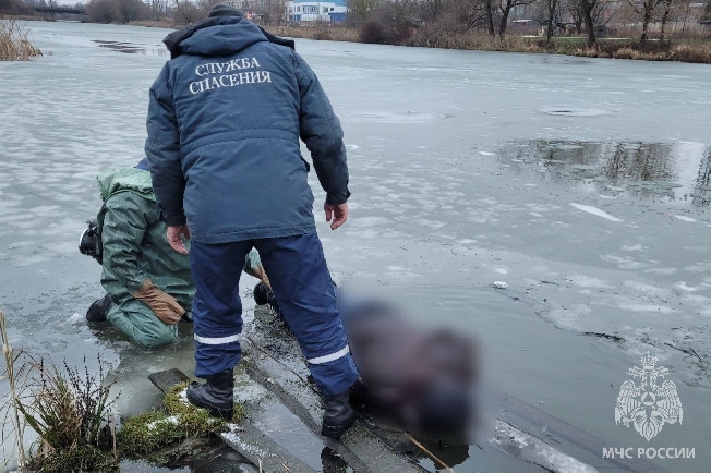 ���� ����������� ������� �� ����� � �������