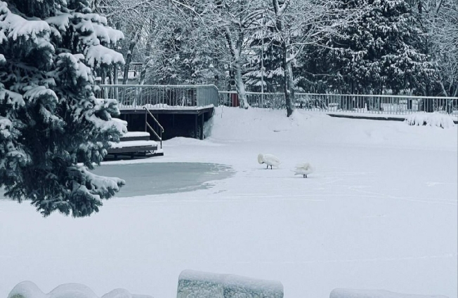 ��� ������ ��������� �� ����� � ���������� �������