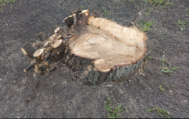 �������� ��������� ������ ������� � ����