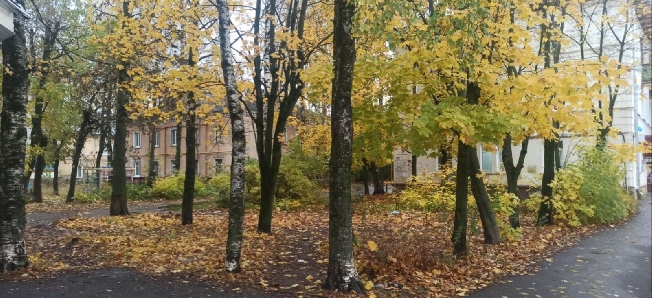 �������� ������� ��� ������� ���������� ������� �� ������� 2026 ����