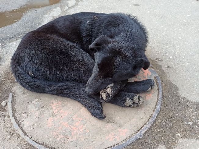  ��-�� ����������� �� ������� ����������� ������ 