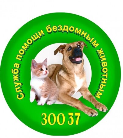 Ивановский приют для животных «ЗОО 37» рассказал о своей жизни КСТАТИ.NEWS