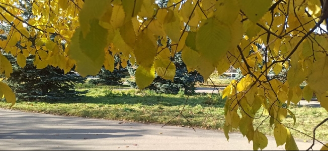 ������� ������� ������� �������� 2025 ���� � ���������� �������