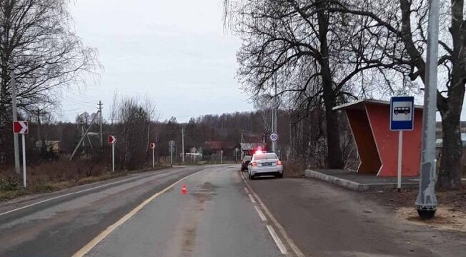 Маленькую девочку в Лежневском районе сбила иномарка