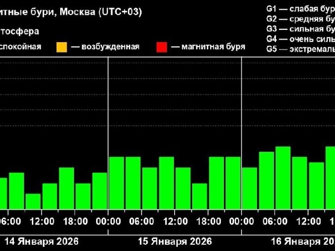 � ������ ���� ������ ���������� ������� �������� 10 ��������� ���� 