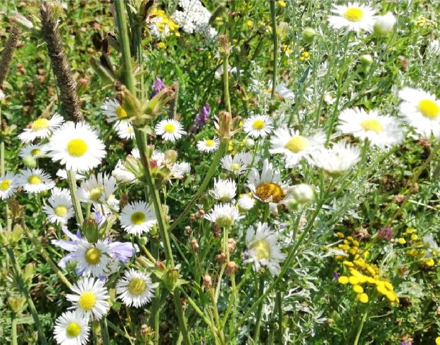 �������� ���������� ������� ��� ������� ���������� ������� �� ������ 2026 ����