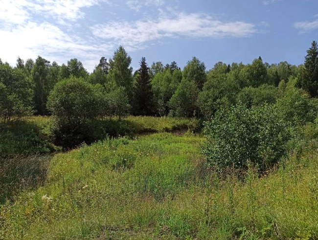 �������� ���-5 ������� �������� ���� 2025 ���� � ���������� �������