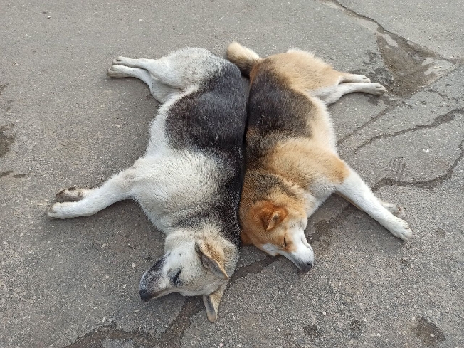 � ������� �������� ������ �������� ��������� �������