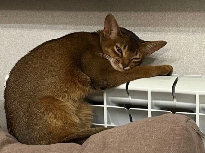 ��������� ����� ����� ���� � ����� ��� � ���������� �������