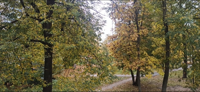 �������� ���������� ������� ��� ������� ���������� ������� �� ������ 2026 ����