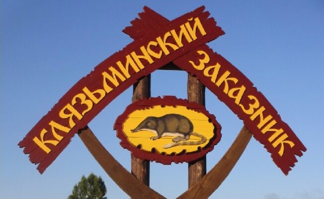 Официальный запрет установили   на любительскую и спортивную охоту в Ивановской области 