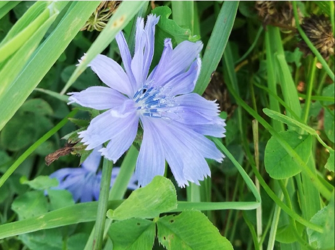 ��������� ���-5 ������� �������� ������� 2025 ���� � ���������� �������