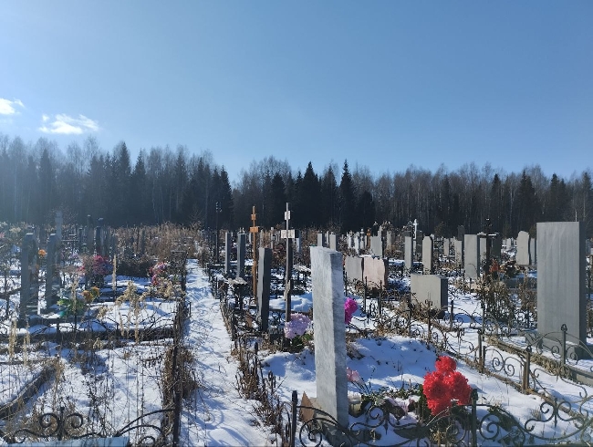 �������� ���� ������ ��������� �� �������� � ���