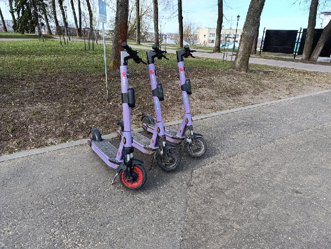 � ������� ���� ���������� �� �������� ������ ������ ����� ������ ��������