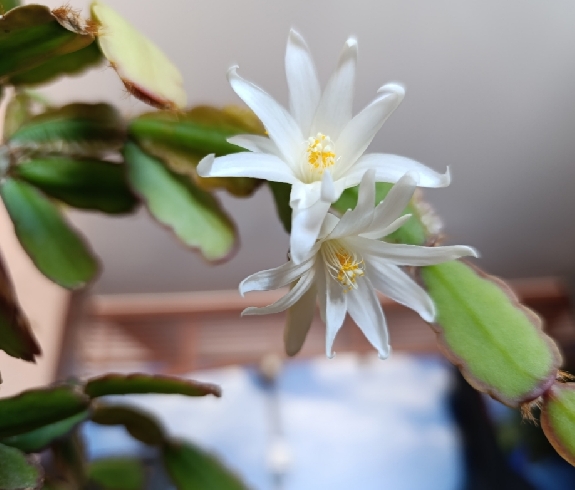 ������ � ������ �� ���������� �������: � ����� ������ ����������