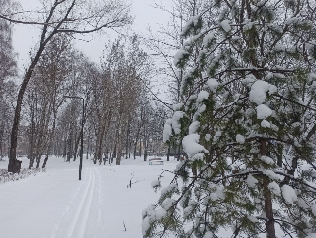 ������News ���������� ��� ����� ��������� ���������� ������� �� ������� 2026 ����