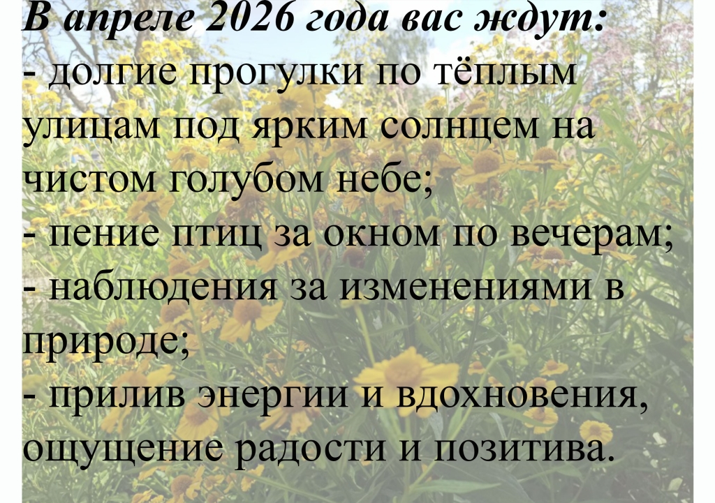 ������ 2026.jpg