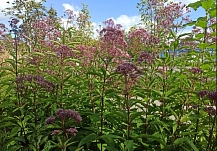 ������News ���������� ��� ����� ��������� ���������� ������� �� ���� 2026 ����