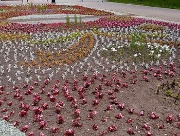 � ��� ������ �������� ����� � ��������� �����