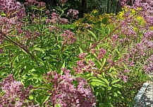 ����� ��������, ��� ��� ������� ���������� ������� � ��� 2026 ����