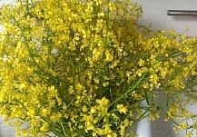 ����� �������������: � ���������� ������� ���� �� +13 