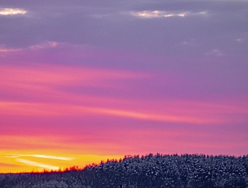 ���������� ����� ����������� ������ �������� � ������� ���������