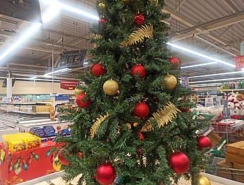 ���������� �������� ���������� �������������� ���� �� ���������� ��������