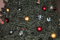 ���� �� ���������� ������� �������� �������������� ���� ������ 