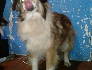 ������ ��������� ������, ������ ���������� ��� ��