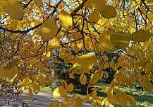 ��������� �������� ������� �������� ������� 2025 ���� � ���������� �������