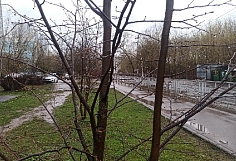 ������� ���������� ������� ����� ��������� ���� � �����