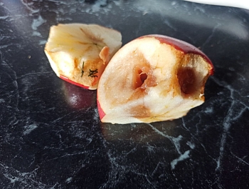 �������� ��������� � ������� ����� �����