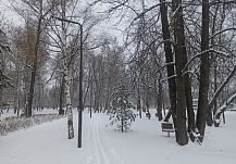 ������News �������� ���-5 ������� �������� ������ 2025 ����