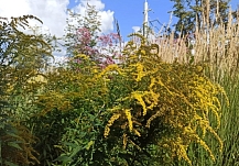 ������������ �������� ������� �������� ����� 2025 ����