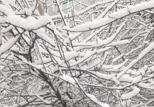 ������News �������� ���-5 ������� ��� ������� 2025 ����