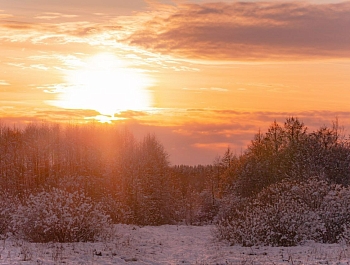 ���������� ����� ����������� ������ �������� � ������� ���������