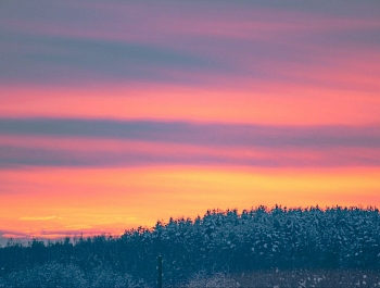 ���������� ����� ����������� ������ �������� � ������� ���������